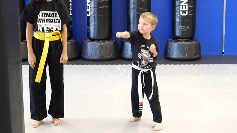 Total Impact Martial Arts - Arlington Heights - Kid's Martial Arts - Children's Karate - Little Ninjas
